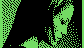 025.gif (484 byte)