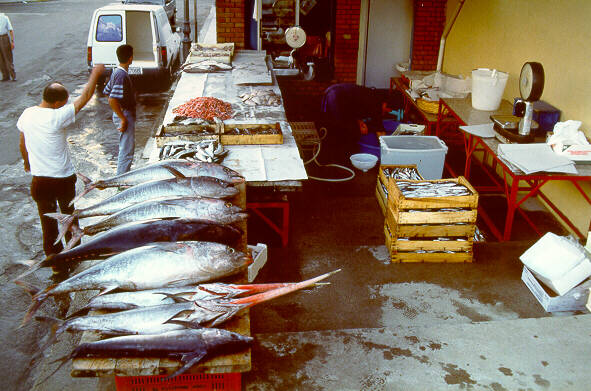 mercatino del pesce