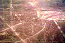 nazca5.jpg