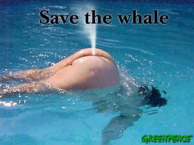 Salva la balena!