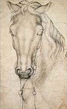 Pisanello,Testa di cavallo, Museo del Louvre, Parigi