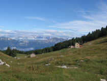 Malga Zocchi - panorama