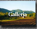 Galleria fotografica