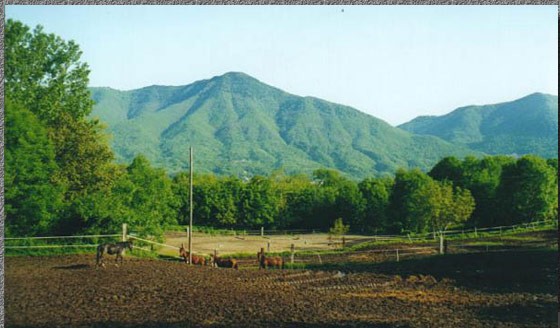 La Valcuvia ad Orino