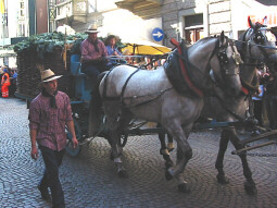 asti007.JPG (26017 byte)