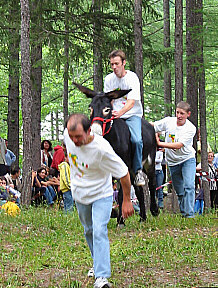 olomont2004.JPG (50776 byte)