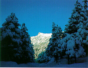 verrayes010.JPG (27951 byte)