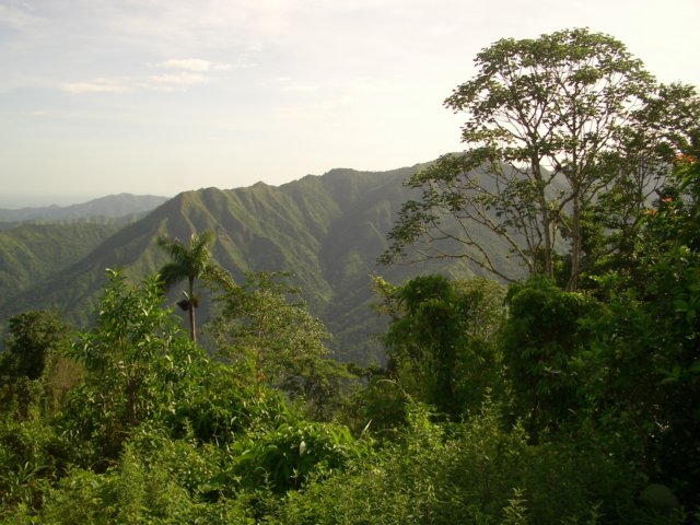 parconaturaledelpicoturquino4.jpg