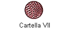 Cartella VII