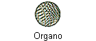 Organo