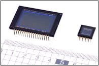 Dimensione dei CCD: a sinistra il nuovo CCD Sony 24 x 16mm (circa) da 6 megapixel; a destra il CCD da 1/2 pollice montato su molte delle ultime compatte da 4 megapixel