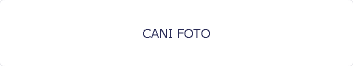CANI FOTO