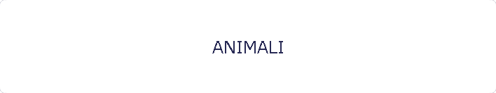 ANIMALI